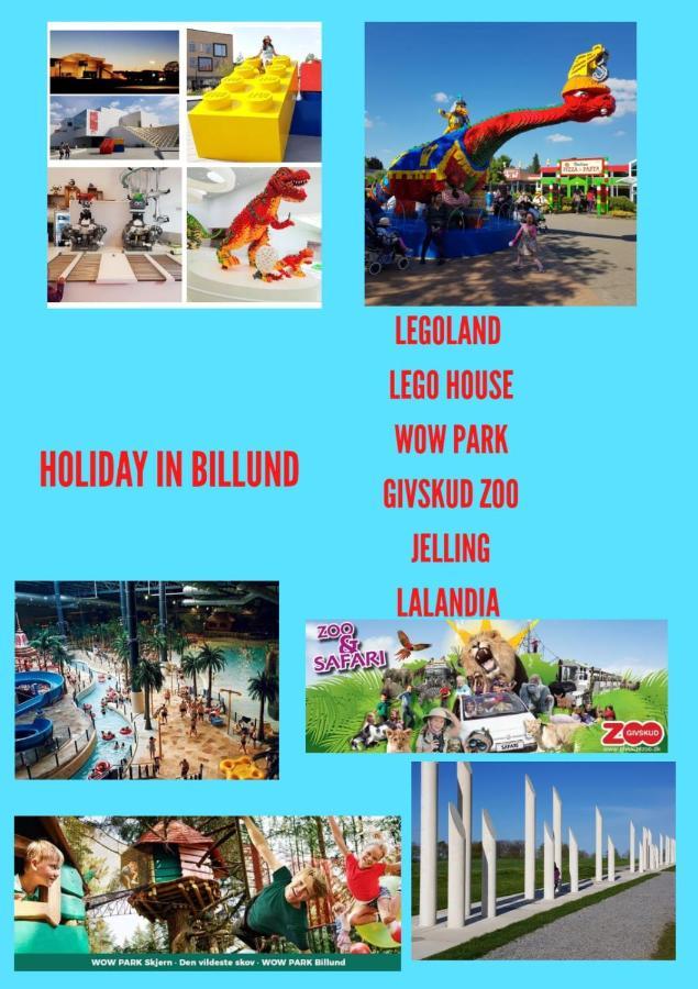 比隆300 Meter Walk To Lego House - Door 9公寓 外观 照片